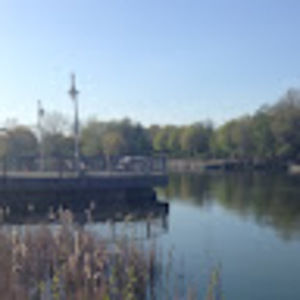 Meet your Posher, Iris